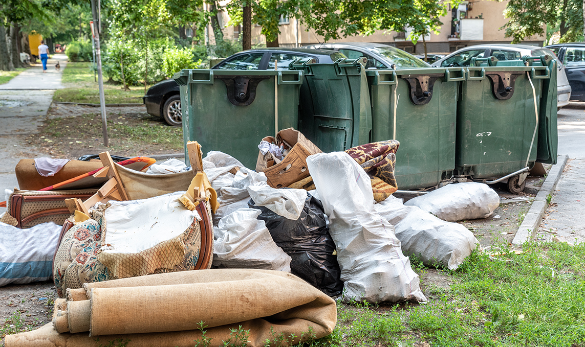 Can a Dirty Trash Can Make You Sick? Exploring the Health Hazards